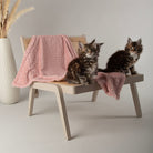 Starlight 'My First' Kitten & Puppy Blanket - Pink Dog Blanket Scruffs® 