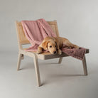 Starlight 'My First' Kitten & Puppy Blanket - Pink Dog Blanket Scruffs® 