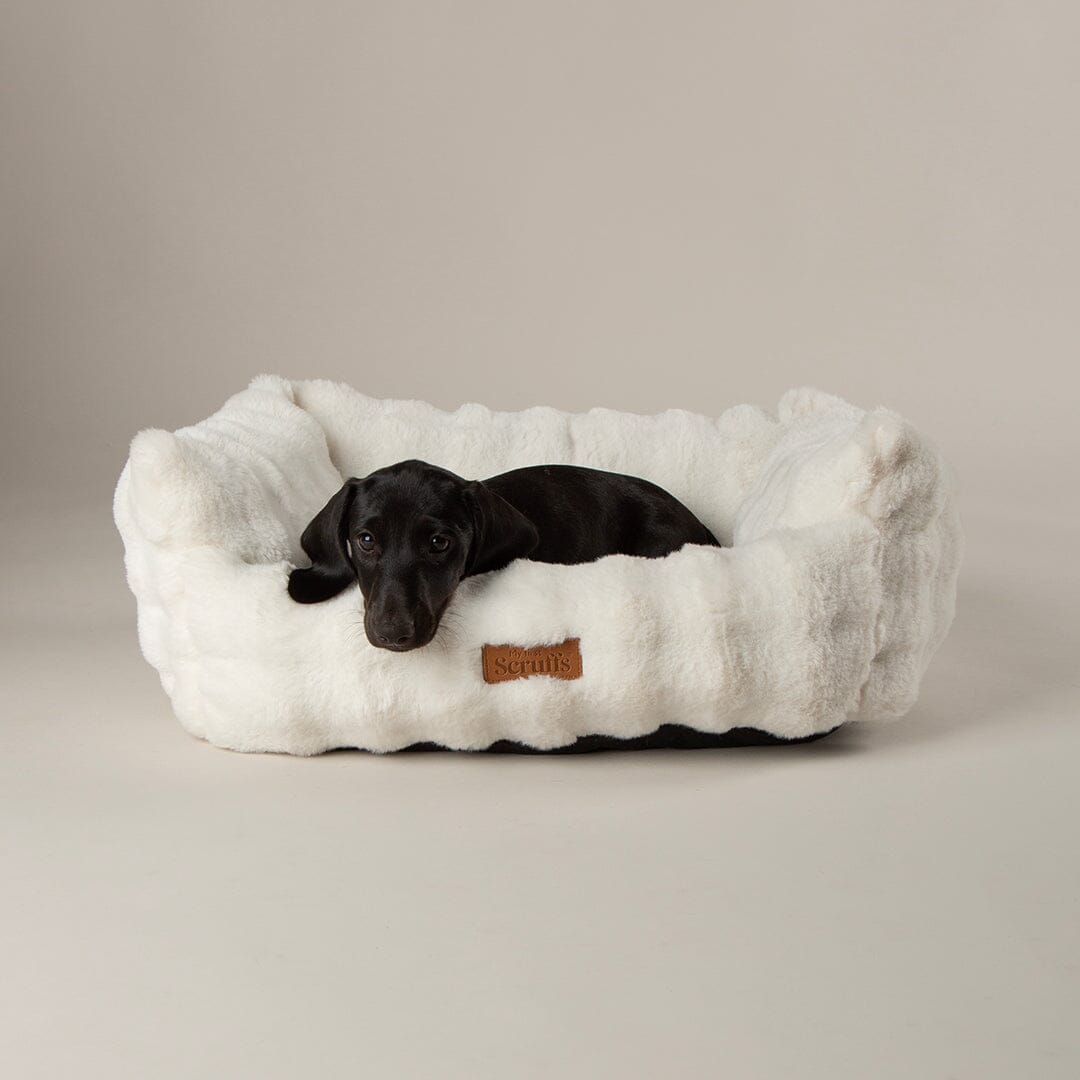 Clouds 'My First' Kitten & Puppy Box Bed - Cream Dog Bed Scruffs® 