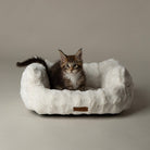 Cloud 'My First' Kitten & Puppy Box Bed & Blanket Set - Cream Dog Bed Scruffs® 