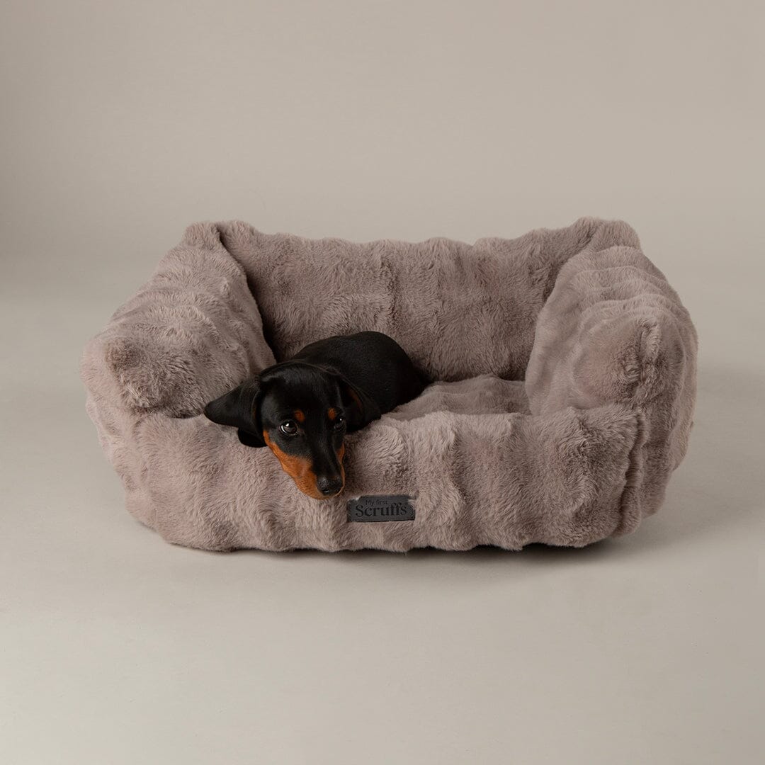 Clouds 'My First' Kitten & Puppy Box Bed - Grey Dog Bed Scruffs® 