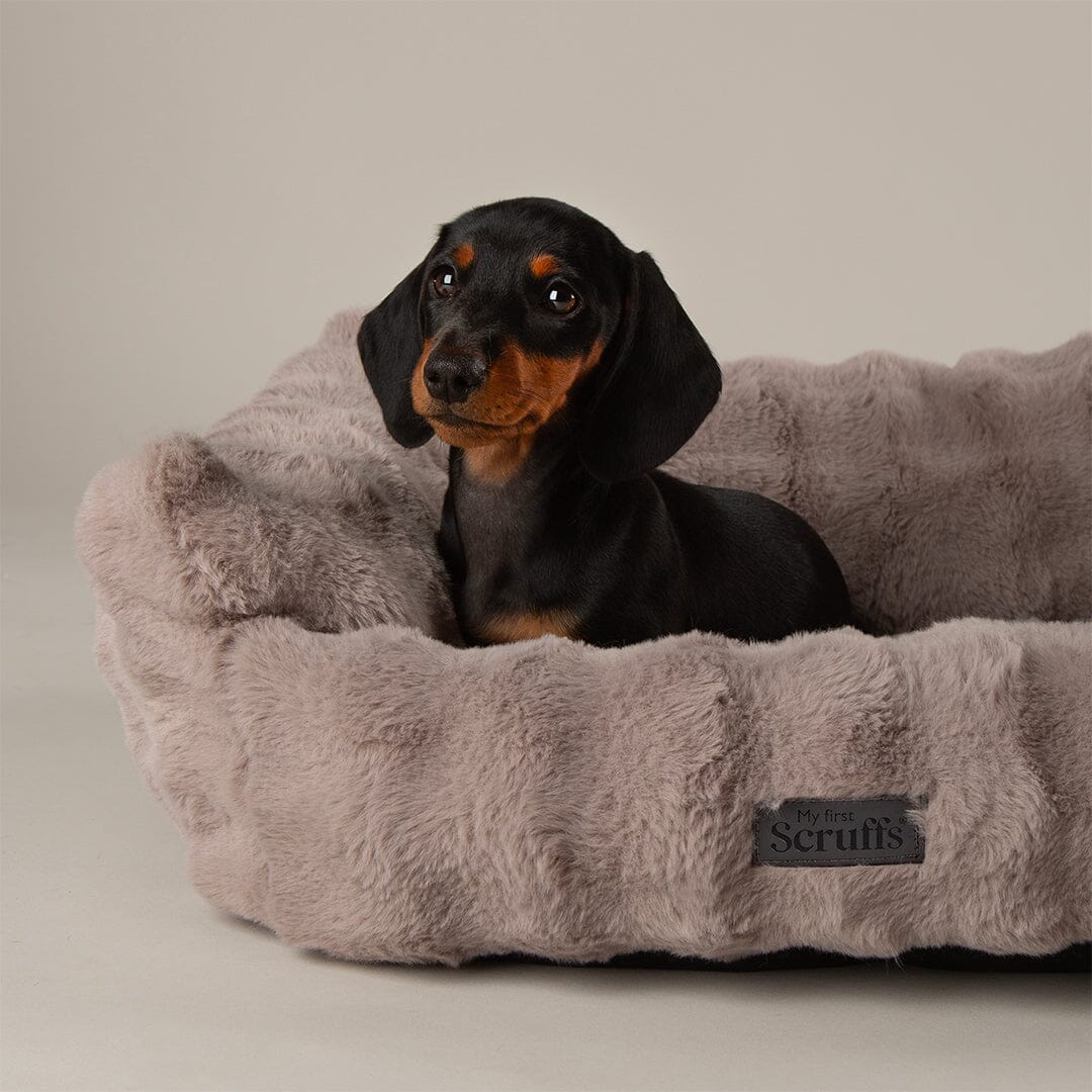 Clouds 'My First' Kitten & Puppy Box Bed - Grey Dog Bed Scruffs® 
