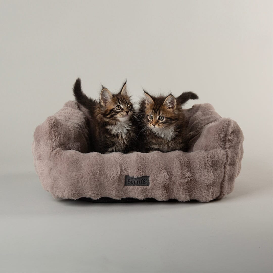 Clouds 'My First' Kitten & Puppy Box Bed - Grey Dog Bed Scruffs® 