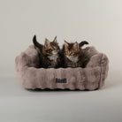 Clouds 'My First' Kitten & Puppy Box Bed - Grey Dog Bed Scruffs® 