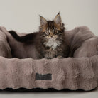 Clouds 'My First' Kitten & Puppy Box Bed - Grey Dog Bed Scruffs® 