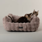 Clouds 'My First' Kitten & Puppy Box Bed - Grey Dog Bed Scruffs® 