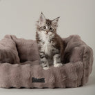 Clouds 'My First' Kitten & Puppy Box Bed - Grey Dog Bed Scruffs® 