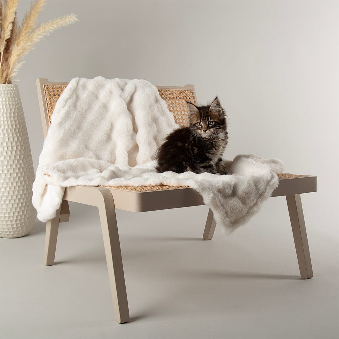 Clouds 'My First' Kitten & Puppy Blanket - Cream Dog Bed Scruffs® 