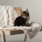 Clouds 'My First' Kitten & Puppy Blanket - Cream Dog Bed Scruffs® 