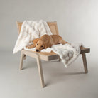 Clouds 'My First' Kitten & Puppy Blanket - Cream Dog Bed Scruffs® 
