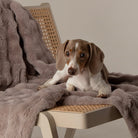 Clouds 'My First' Kitten & Puppy Blanket - Grey Dog Bed Scruffs® 