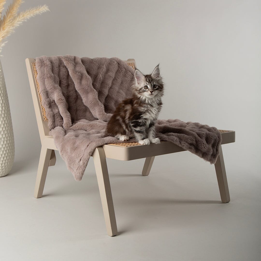 Clouds 'My First' Kitten & Puppy Blanket - Grey Dog Bed Scruffs® 