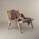 Clouds 'My First' Kitten & Puppy Blanket - Grey Dog Bed Scruffs® 