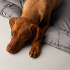 Expedition Reversible Water Resistant Crate Mat Mattress - Storm Grey Dog Crate Mat Scruffs® 