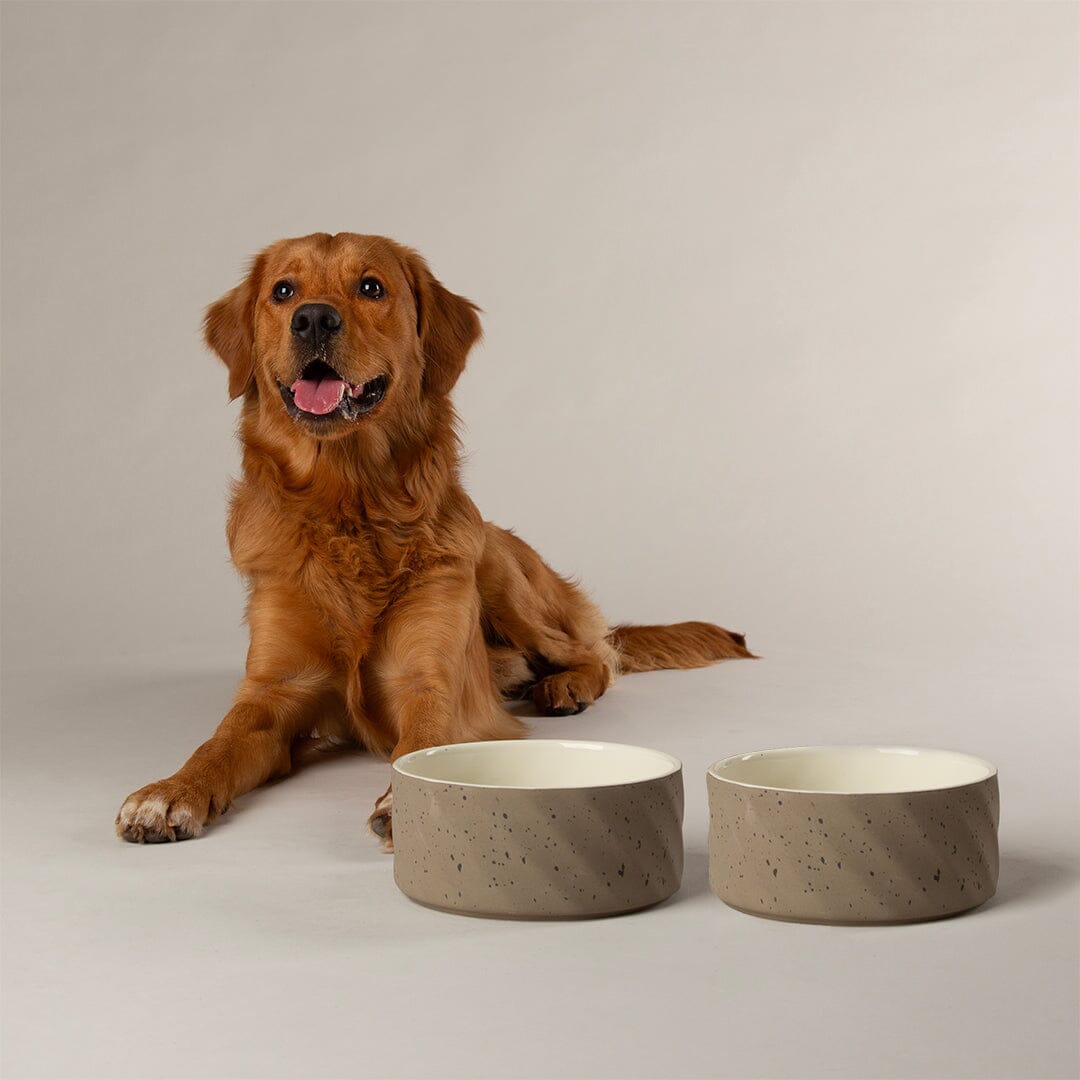 Zen 2 Piece Dog Bowl Food & Water Bowl Set - Brown Pet Bowls, Feeders & Waterers Scruffs® 