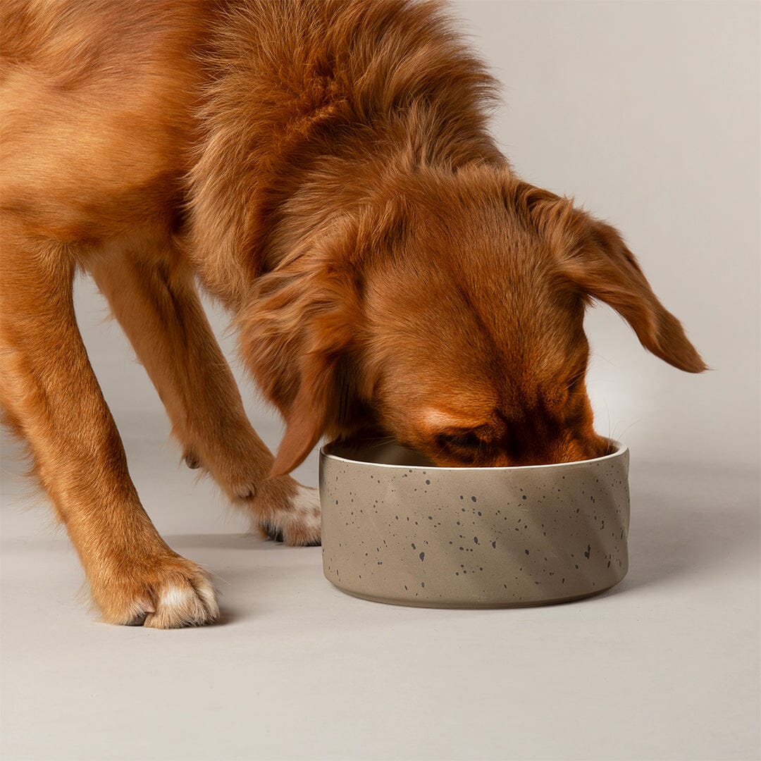 Zen 2 Piece Dog Bowl Food & Water Bowl Set - Brown Pet Bowls, Feeders & Waterers Scruffs® 