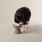 Zen 2 Piece Cat Raised Cat Feeder & Saucer Set - Brown Pet Bowls, Feeders & Waterers Scruffs® 