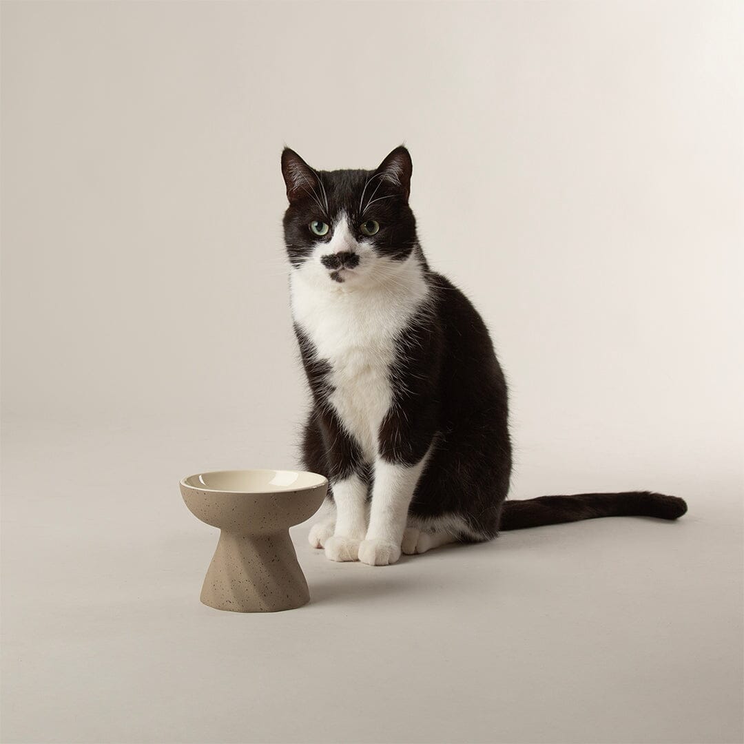 Zen 2 Piece Cat Raised Cat Feeder & Saucer Set - Brown Pet Bowls, Feeders & Waterers Scruffs® 