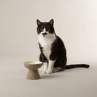 Zen 2 Piece Cat Raised Cat Feeder & Saucer Set - Brown Pet Bowls, Feeders & Waterers Scruffs® 
