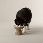 Zen 2 Piece Cat Raised Cat Feeder & Saucer Set - Brown Pet Bowls, Feeders & Waterers Scruffs® 