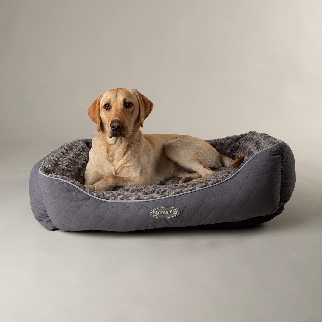 Wilton Box Dog Bed