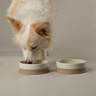 Scandi 2 Piece Non Tip Pet Food & Water Bowl - Cream Pet Bowls, Feeders & Waterers Scruffs® 