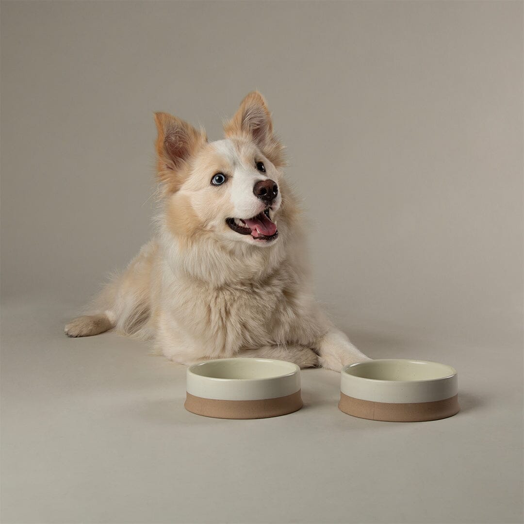 Scandi 2 Piece Non Tip Pet Food & Water Bowl - Cream Pet Bowls, Feeders & Waterers Scruffs® 