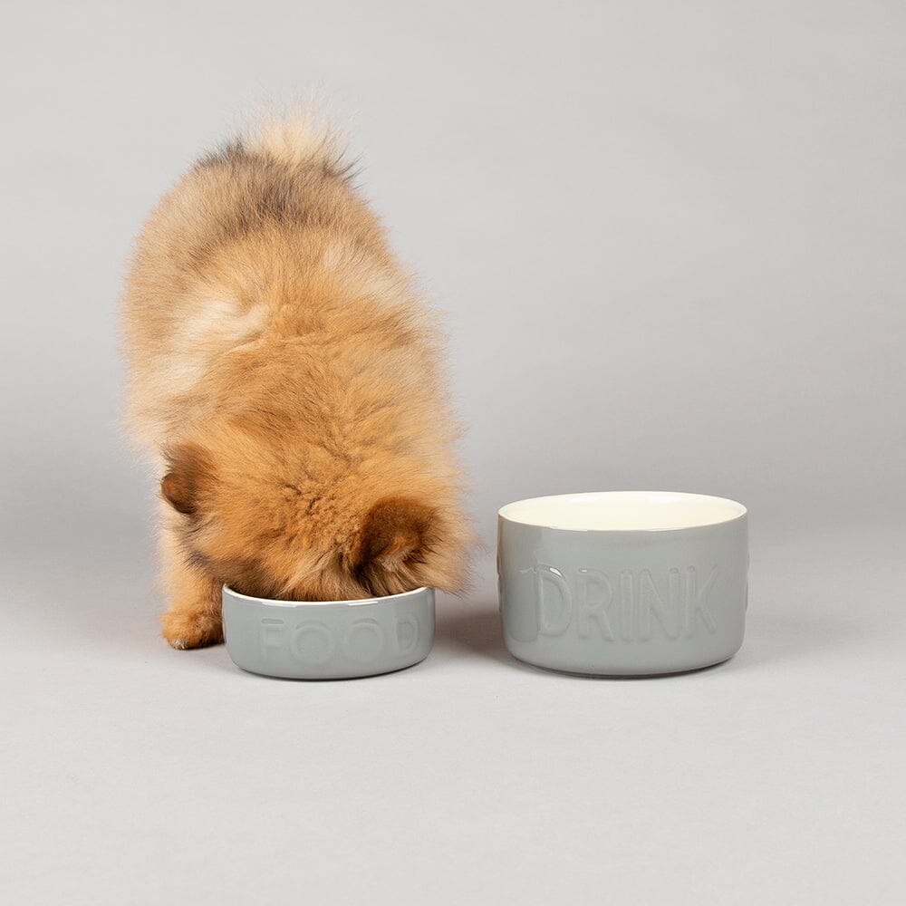 Classic 2 Piece Set 13cm Pet Food & Water Bowl Set