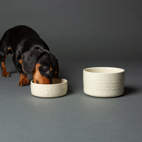 Icon 2 Piece Set 13cm Pet Food & Water Bowl Set - Cream Pet Bowls, Feeders & Waterers Scruffs® 