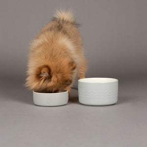 Icon 2 Piece Set 13cm Cat & Small Pet Food & Drink Bowl Set - Light Grey Pet Bowls, Feeders & Waterers Scruffs® 
