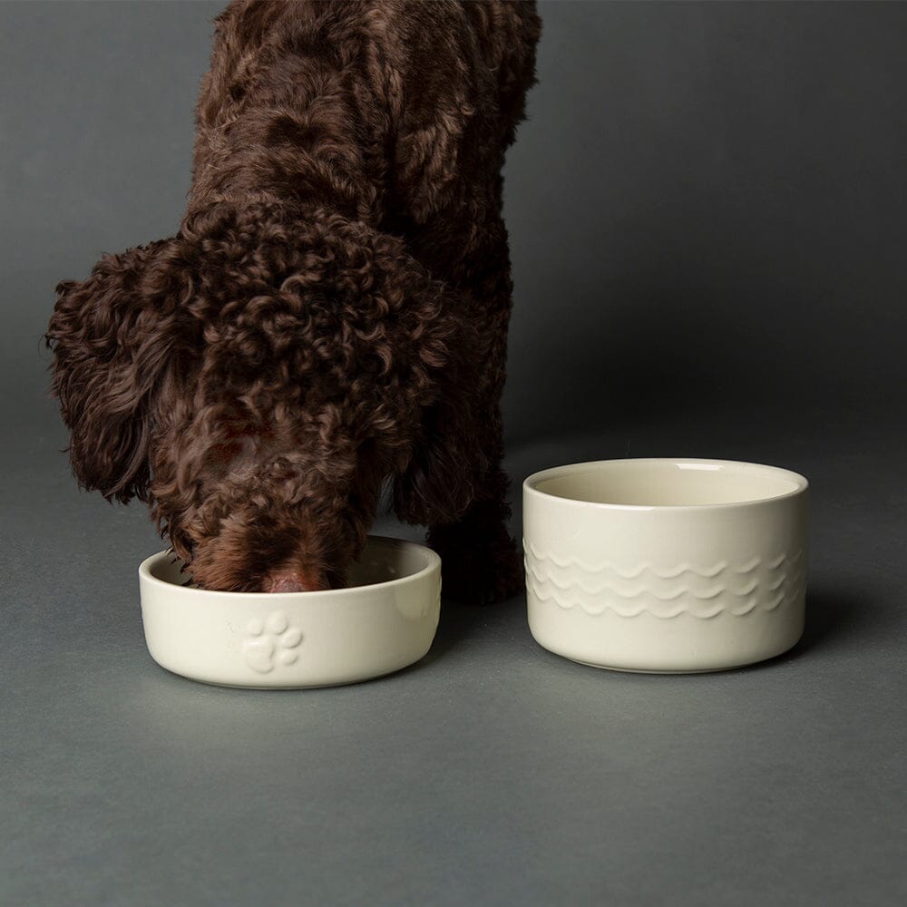 Icon 2 Piece Pet Food & Water Bowl Set 15cm