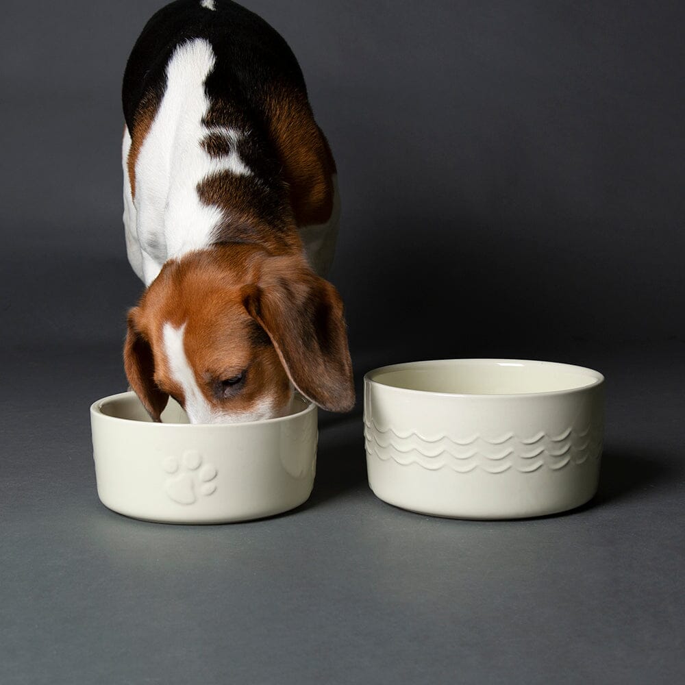Icon 2 Piece Pet Food & Water Bowl Set 19cm 20cm