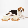 Icon 2 Piece Pet Food & Water Bowl Set - 19cm | 20cm - Cream Pet Bowls, Feeders & Waterers Scruffs® 