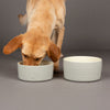 Icon 2 Piece Pet Food & Water Bowl Set - 19cm | 20cm - Light Grey Pet Bowls, Feeders & Waterers Scruffs® 