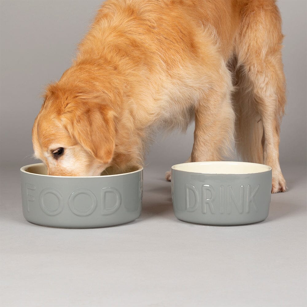 Classic 2 Piece Dog Food & Water Bowl Set 25cm 20cm