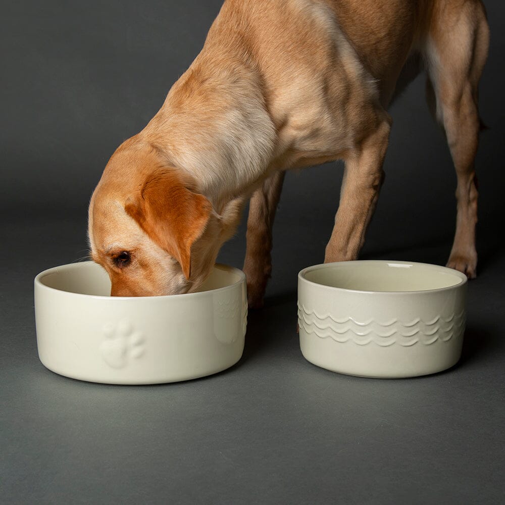 Icon 2 Piece Pet Food & Water Bowl Set - 25cm | 20cm - Cream