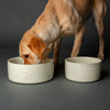 Icon 2 Piece Pet Food & Water Bowl Set - 25cm | 20cm - Cream Pet Bowls, Feeders & Waterers Scruffs® 