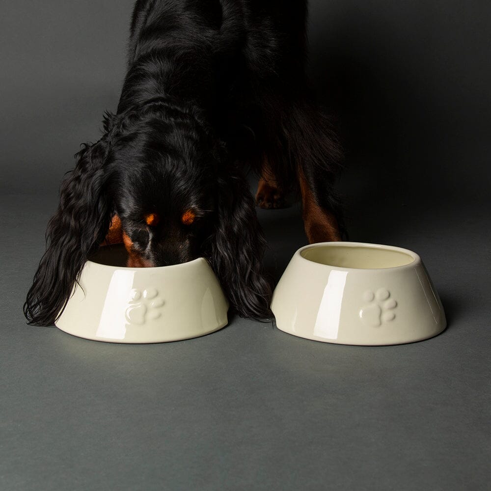 Icon 2 Piece Long Eared Dog Food & Water Bowl