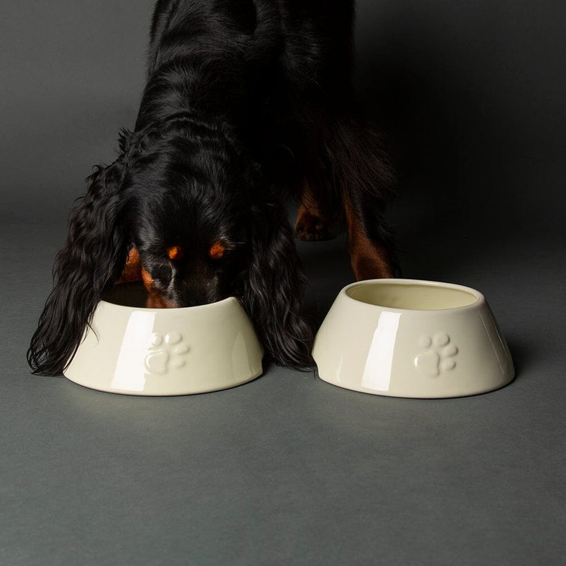 Long Eared Dog Bowls
