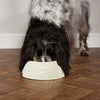 Icon 2 Piece Long Eared Dog Food & Water Bowl - Cream Pet Bowls, Feeders & Waterers Scruffs® 