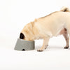 Classic 2 Piece Flat Faced Dog Bowl & Water Bowl - 15cm | 18cm - Grey Pet Bowls, Feeders & Waterers Scruffs® 