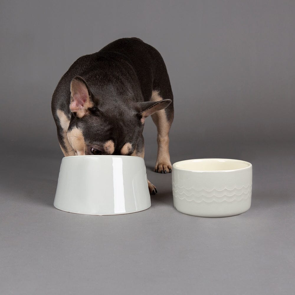 Icon 2 Piece Flat Faced Dog Bowl & Water Bowl - 15cm | 18cm - Light Grey Pet Bowls, Feeders & Waterers Scruffs® 