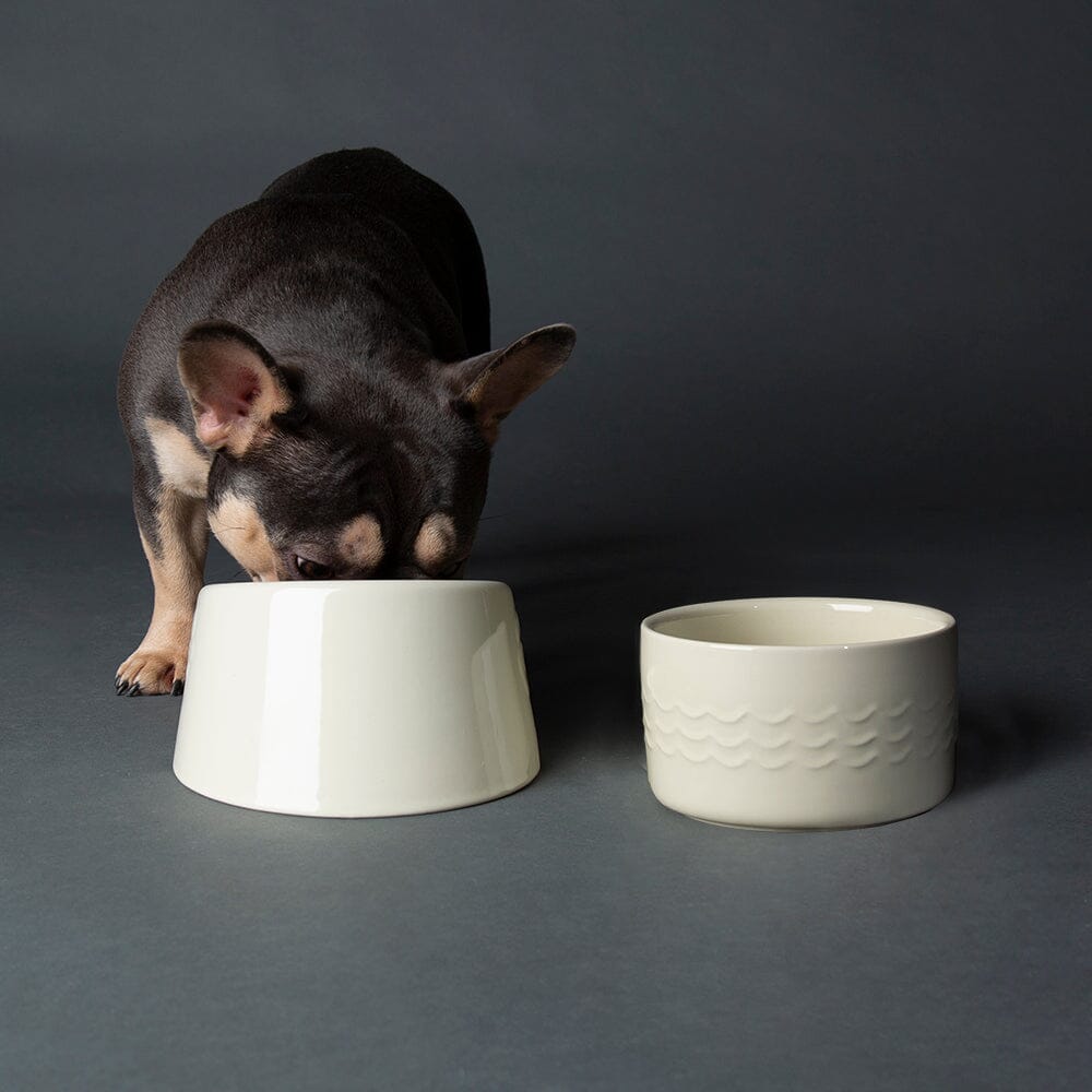 Icon 2 Piece Flat Faced Dog Bowl & Water Bowl 15cm 18cm