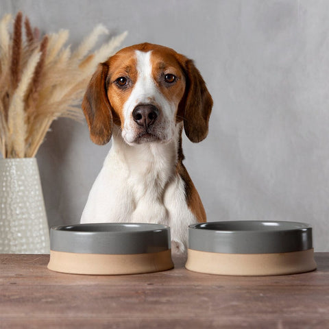 Scandi Dog Bowl Set in Grey - Ceramic Pet Bowl - Scruffs