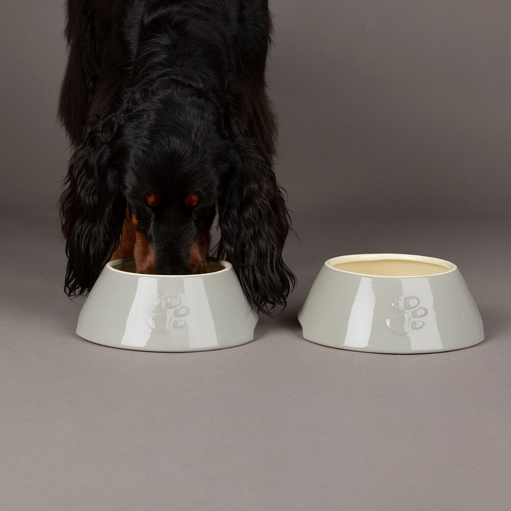 Icon 2 Piece Long Eared Dog Food & Water Bowl - Light Grey Pet Bowls, Feeders & Waterers Scruffs® 