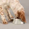 Icon 2 Piece Long Eared Dog Food & Water Bowl - Light Grey Pet Bowls, Feeders & Waterers Scruffs® 