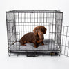 Cosy Crate Mat - Grey Dog Bed Scruffs® 