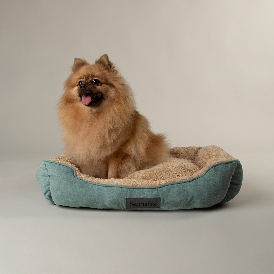 Cosy Soft Walled Dog Bed Sage Green