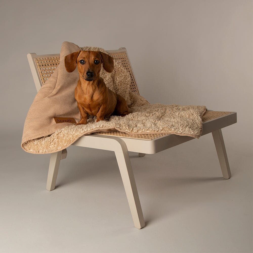 Snuggle Pet Blanket Desert