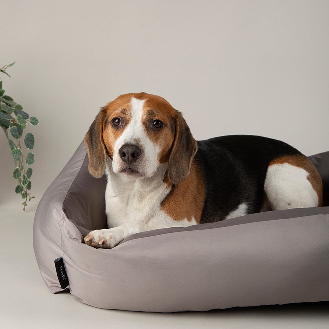 Expedition Water Resistant Box Bed - Storm Grey Dog Bed Scruffs® 